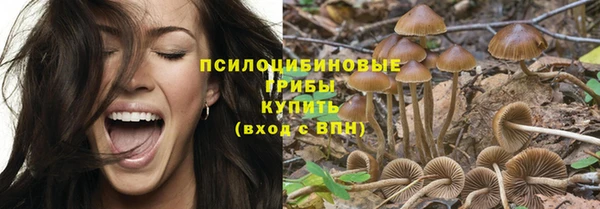 бутират Белокуриха