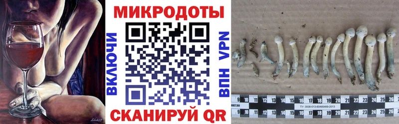 Галлюциногенные грибы GOLDEN TEACHER  Валуйки 