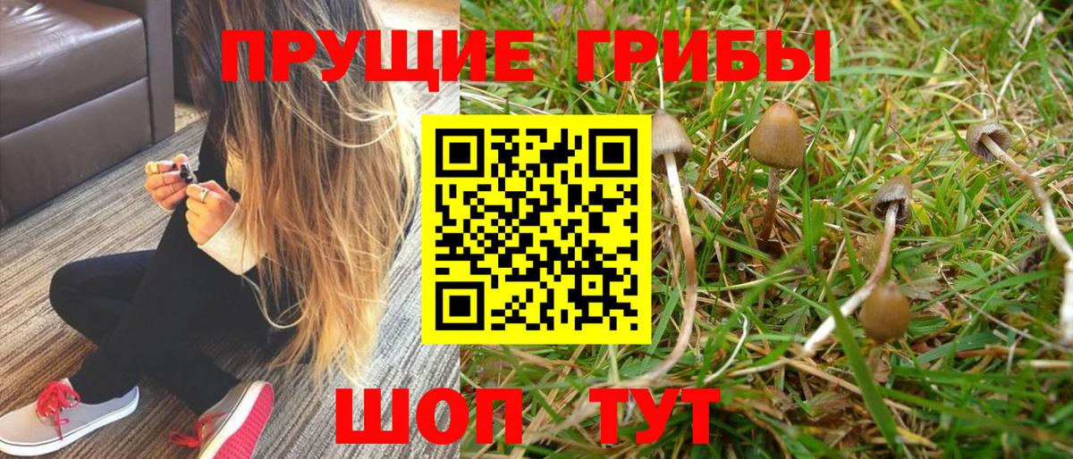 Галлюциногенные грибы Magic Shrooms  Галлюциногенные грибы Magic Shrooms  Вход с VPN  Валуйки 